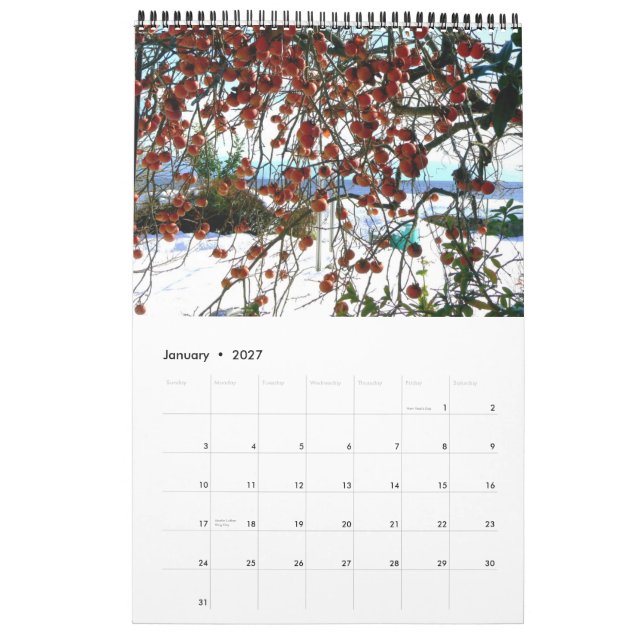 Calendário do campo japonês (Jan 2027)