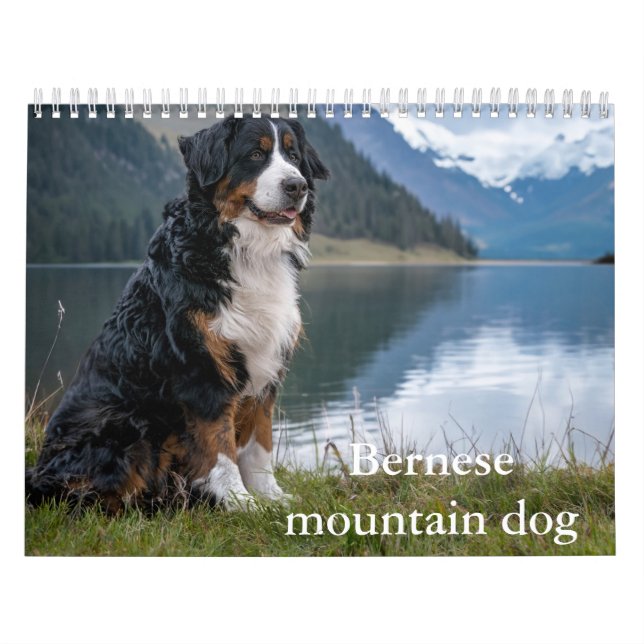 Calendário do cão da montanha Bernese (Capa)