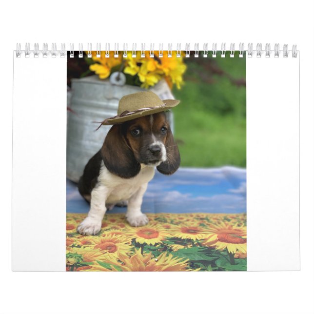 Calendário do cão de Basset que caracteriza E (Capa)