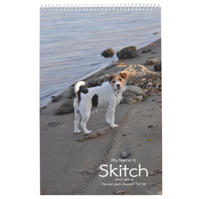 Calendário do cão de Jack Russell Terrier do (Capa)