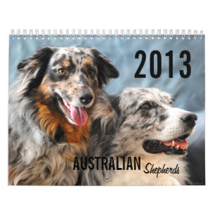 Calendário do cão de pastor de 2013 australianos