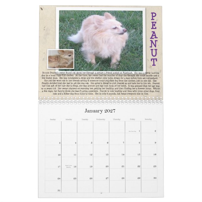 Calendário do cão do salvamento de Oscar (Jan 2027)