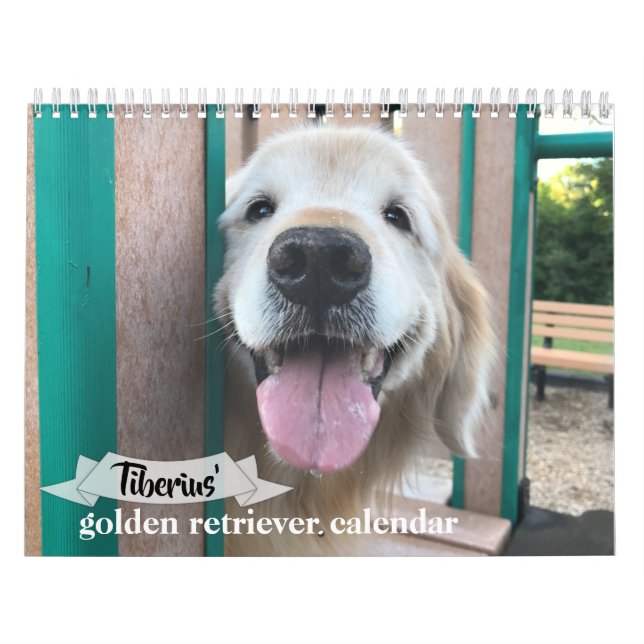 Calendário do Cão para Retriever do Ouro Tiberius  (Capa)
