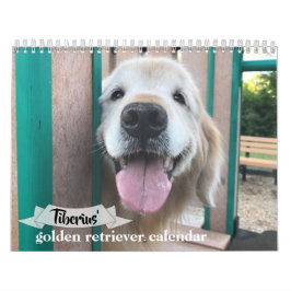 Calendário do Cão para Retriever do Ouro Tiberius 