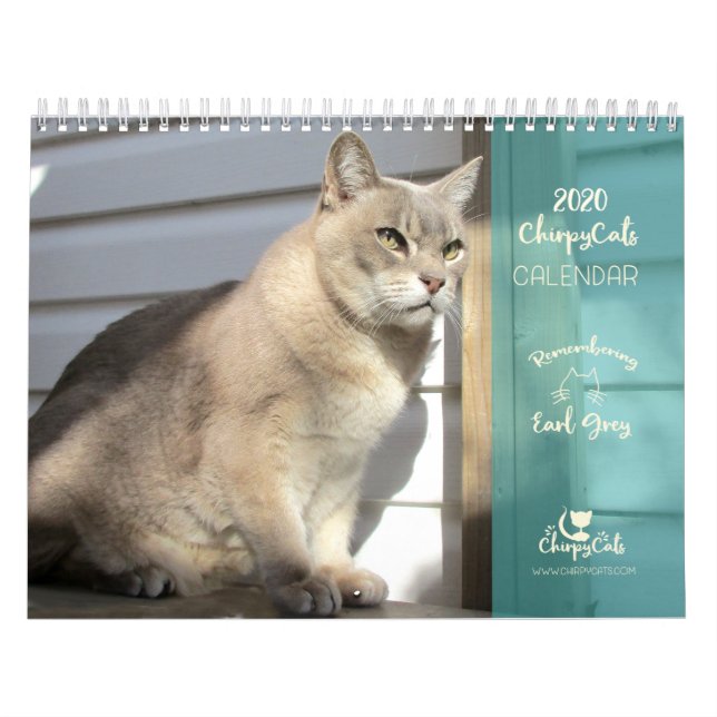 Calendário do Cat 2020, Lembrando Cinza do Earl (Capa)