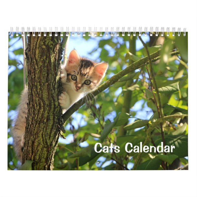 Calendário do Cat 2023 (Capa)
