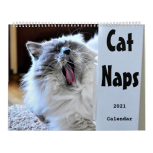 Calendário do Cat Naps 2021