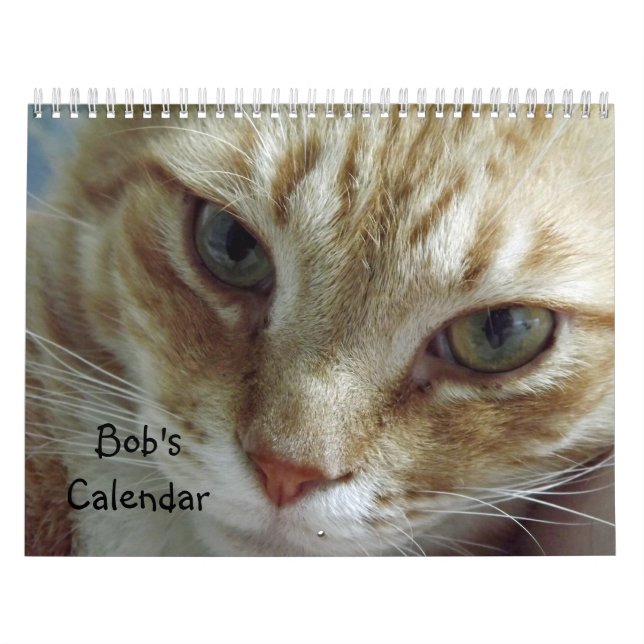Calendário do Cat Tabby Laranja com Bob (Capa)