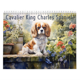 Calendário do Cavalier King Charles Spaniel, qualq