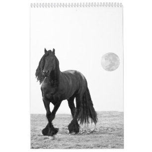 Calendário do cavalo