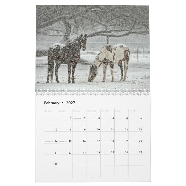 Calendário do cavalo (Fev 2027)