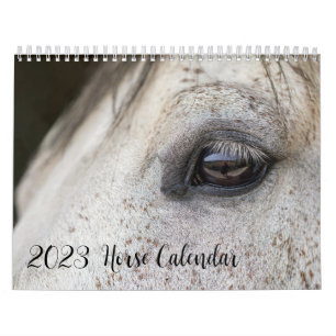 Calendário Do Cavalo 2023 Com As Suas Fotos
