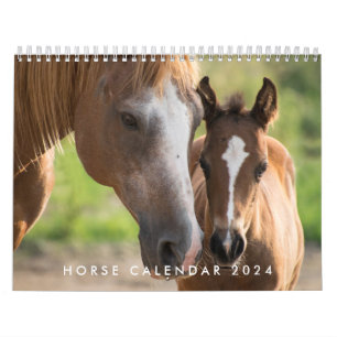 Calendário Do Cavalo 2024 Com As Suas Fotos