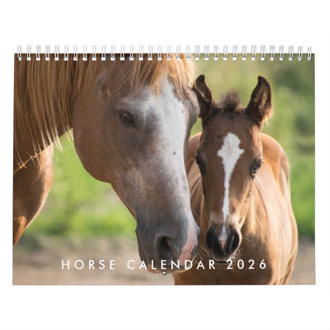 Calendário Do Cavalo 2026 Com Fotos (Capa)