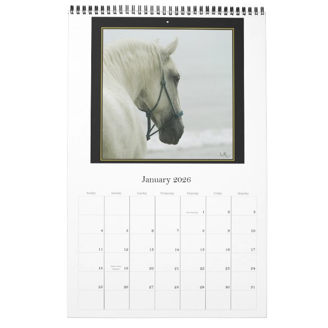 Calendário do cavalo - Andalusian, frisão Lipizzan (Jan 2026)