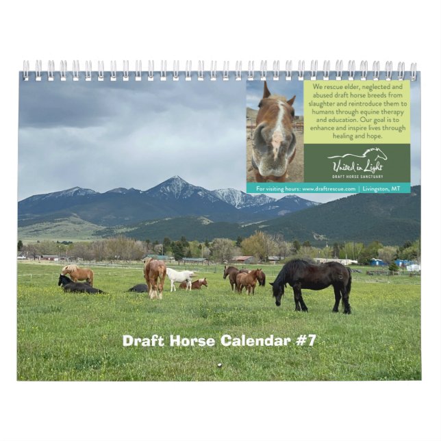 Calendário do Cavalo de Rascunho (Capa)