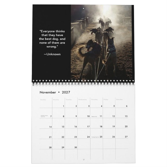 Calendário do Centro de Cães de Verão do MI DOG (Nov 2027)