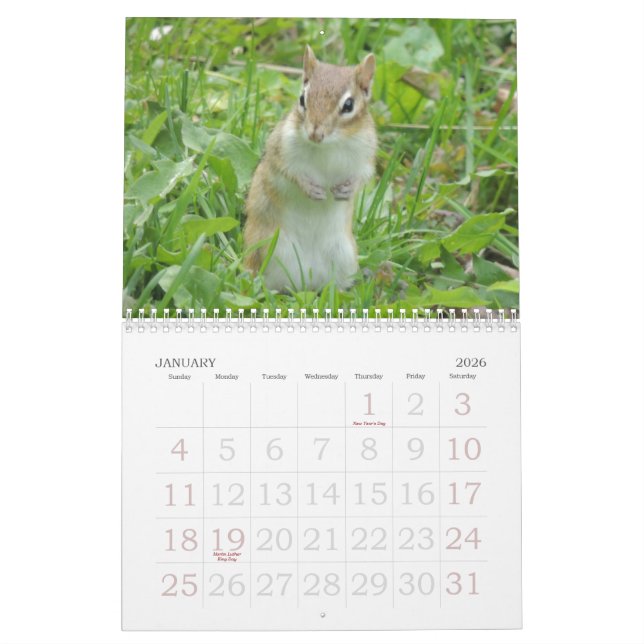 Calendário do Chipmunk (Jan 2026)