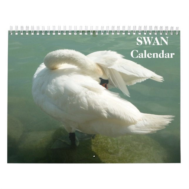Calendário do Cisne 2023 (Capa)