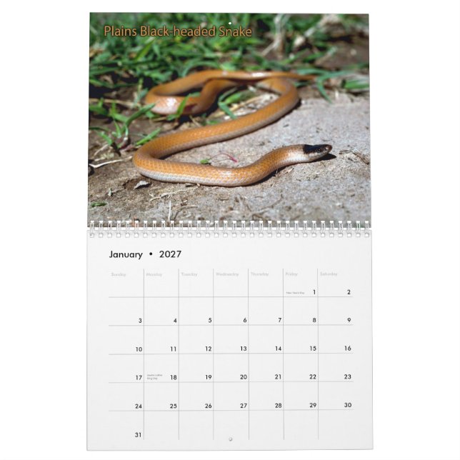 Calendário do cobra (Jan 2027)