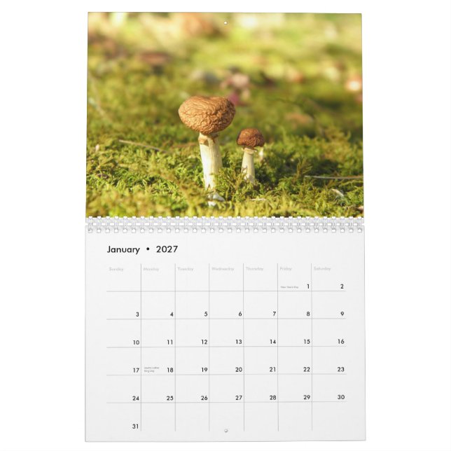 Calendário do cogumelo (Jan 2027)