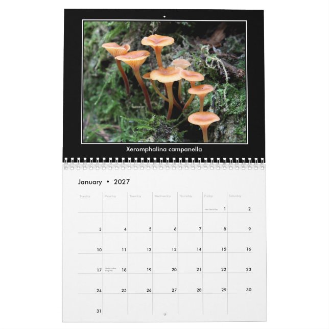 Calendário do cogumelo (Jan 2027)