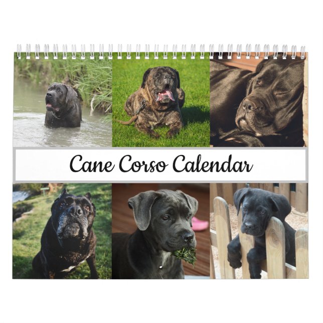 Calendário do Corso (Capa)