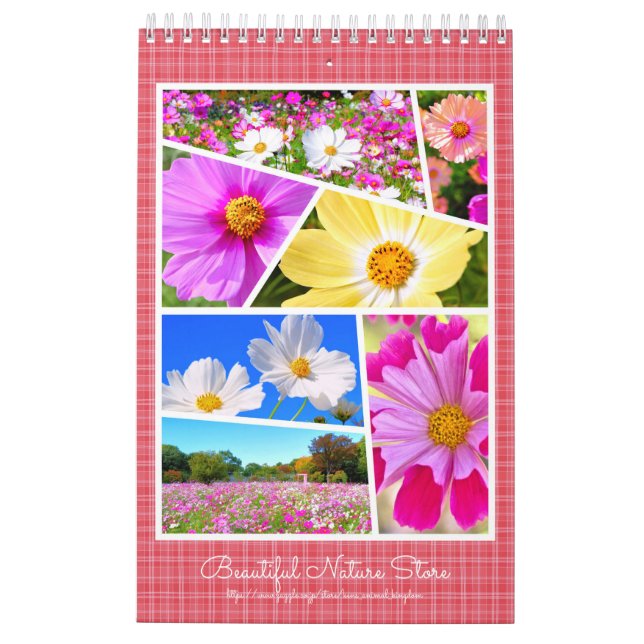 Calendário do Cosmos カ レ ン ダ ー (Verso)