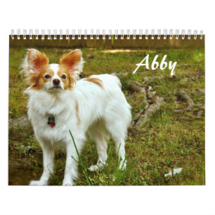 Calendário do costume de Abby