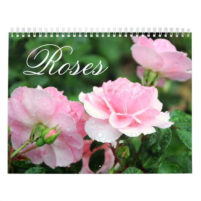 Calendário do costume dos rosas (Capa)