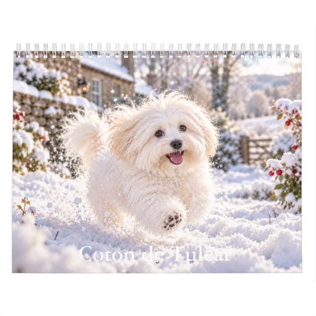 Calendário do Coton de Tulear (Capa)