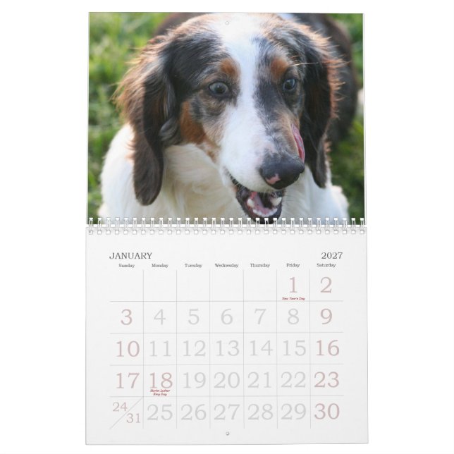 Calendário do Dachshund (Jan 2027)