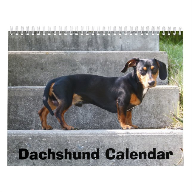 Calendário do Dachshund 2016 Adicione Suas Fotos (Capa)