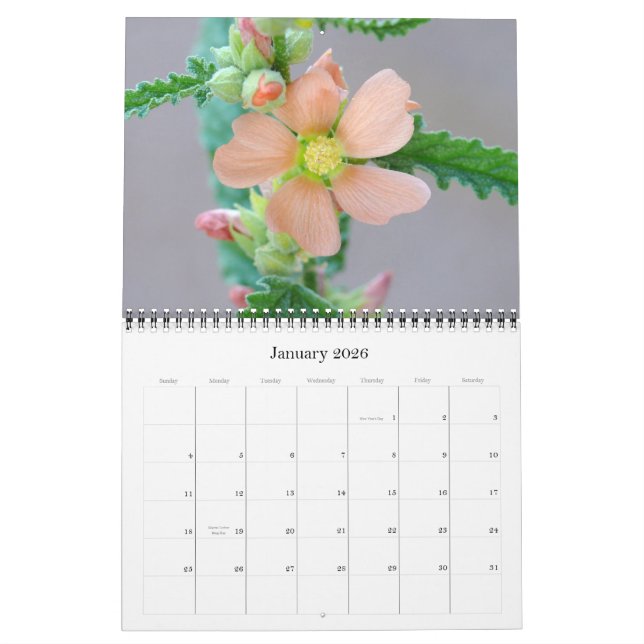 Calendário do Deserto Sonoran para 2008 (Jan 2026)