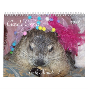 Calendário do Dia da Marmota de Clara 2026 A