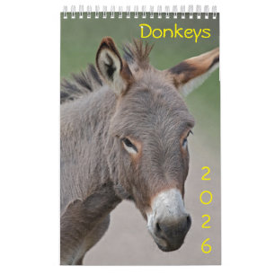 Calendário do Donkeys