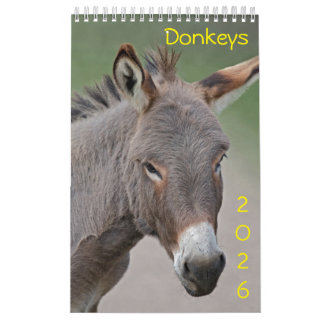 Calendário do Donkeys