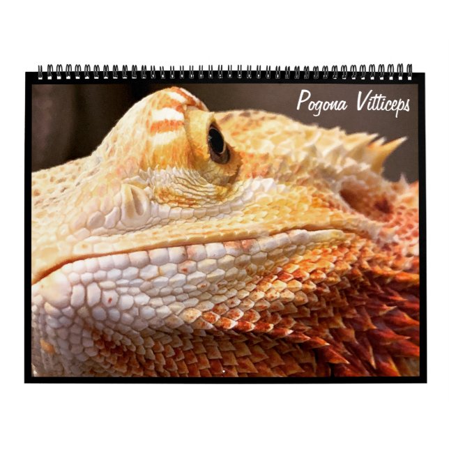 Calendário do Dragão de Carborada de Pogona Vittic (Capa)