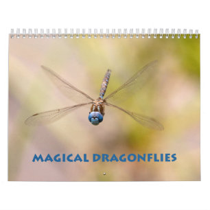 Calendário do Dragonfly