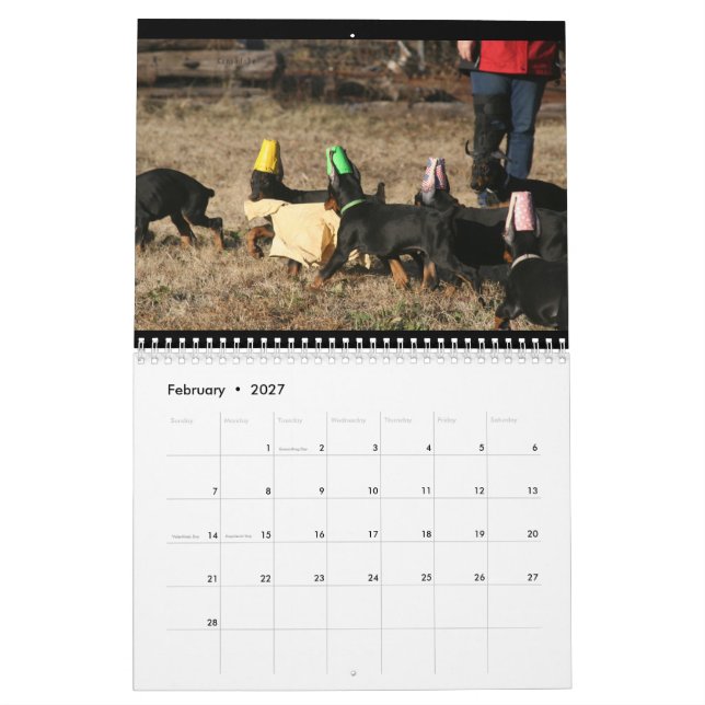 Calendário do DT 2024 (Fev 2027)