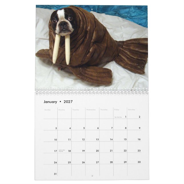 Calendário do eco 2013 do Dia das Bruxas (Jan 2027)