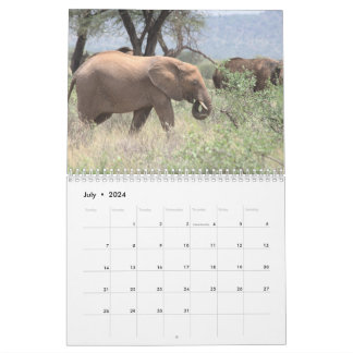 Calendário do Elefante