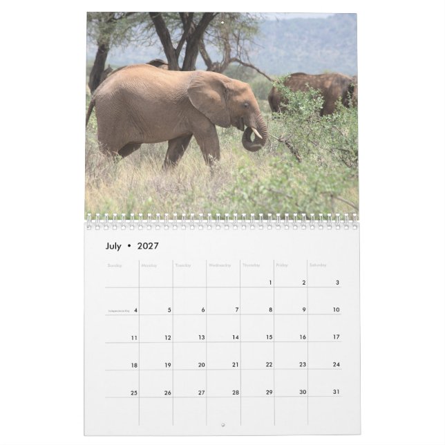 Calendário do Elefante (Jul 2027)