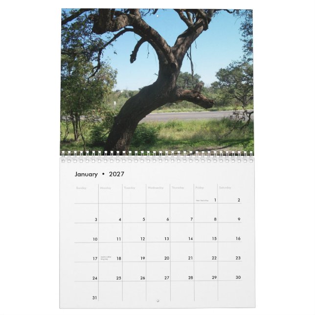 Calendário do espaço do verde da angra do (Jan 2027)