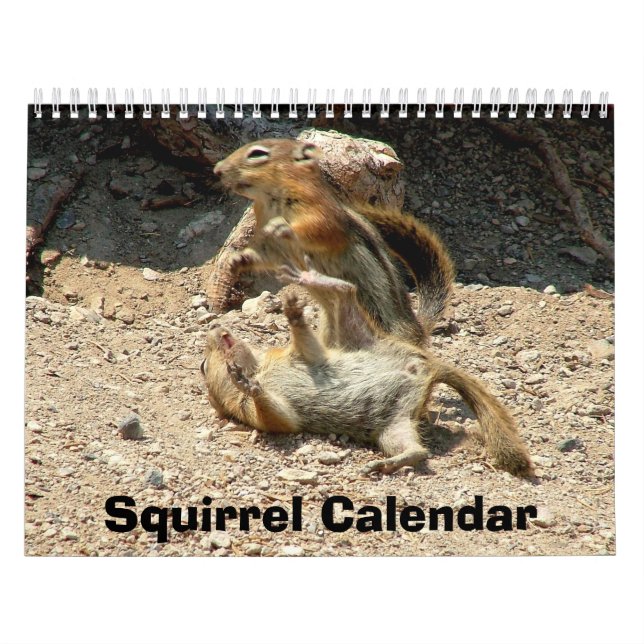 Calendário do esquilo (Capa)