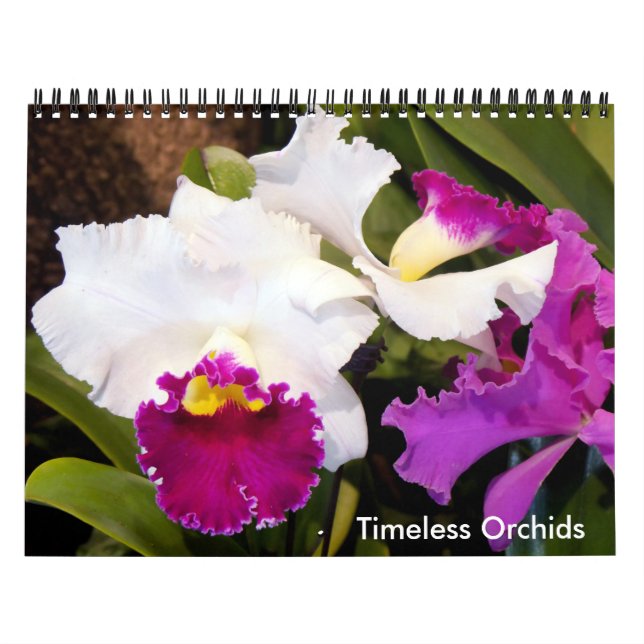 Calendário do Eterno Orchids (Capa)