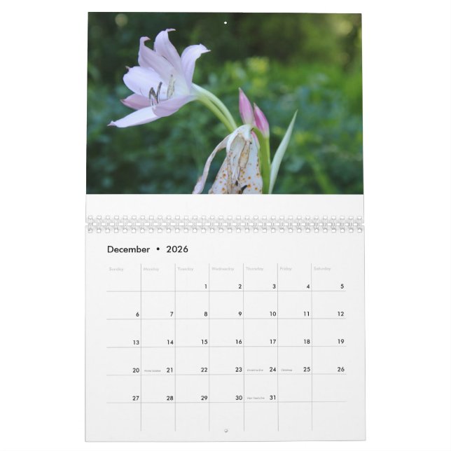 Calendário do feliz ano novo 2025 (Dez 2026)