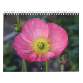 Calendário do feliz ano novo 2025