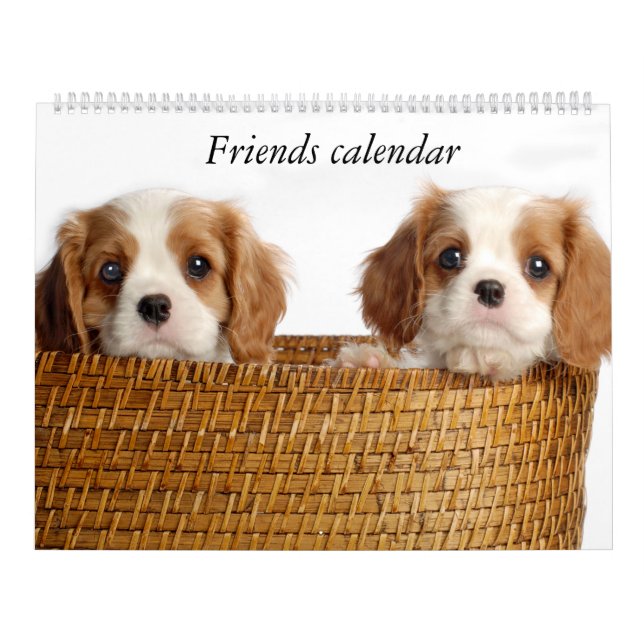 Calendário do filhote de cachorro (Capa)