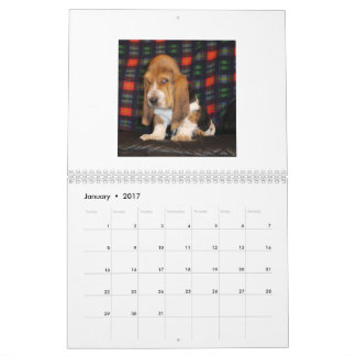 Calendário do filhote de cachorro de Basset Hound
